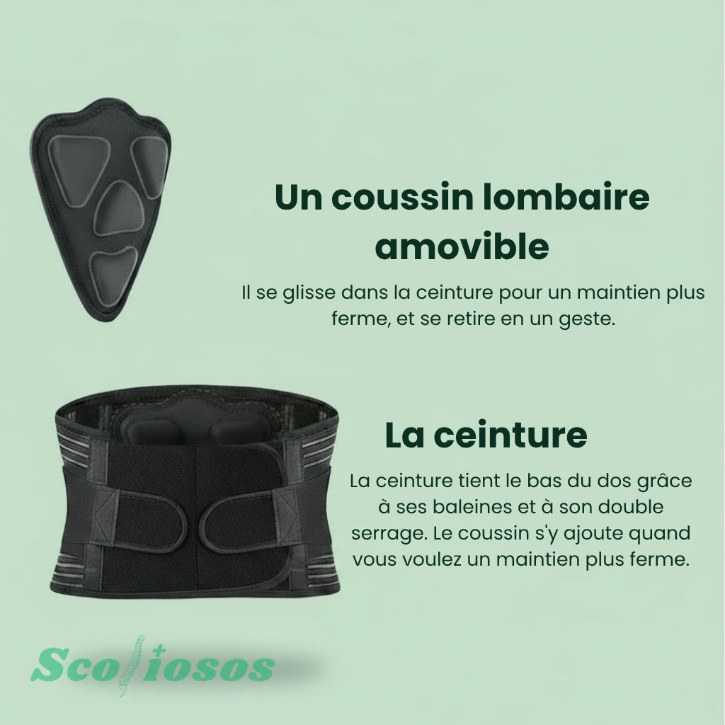 Ceinture lombaire renforcée Scoliosos